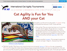 Tablet Screenshot of catagility.com